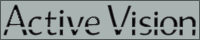 Active Vision