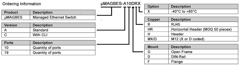 microMAGBESversion